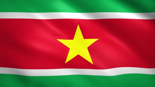 Suriname-Flagge weht im Wind — Stockvideo