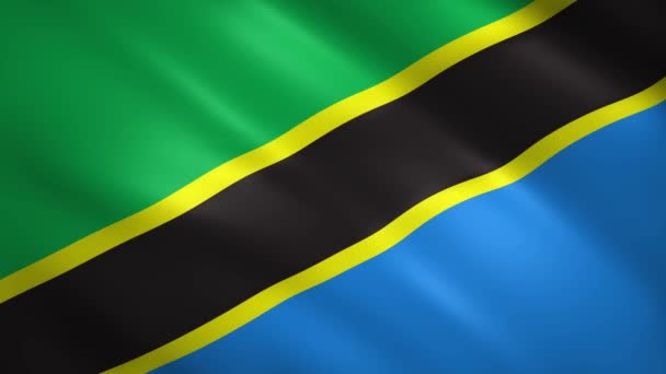 Bandera de Tanzania ondeando en el viento — Vídeos de Stock