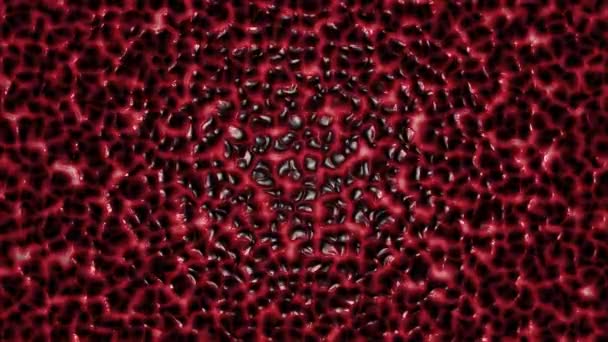 Textura abstracta del intrincado líquido rojo — Vídeos de Stock