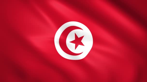 Tunisia bandiera sventola nel vento — Video Stock