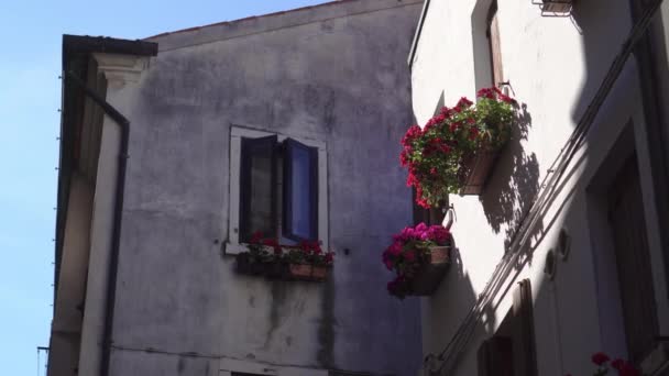 Вікна будинків з квітами зовні — стокове відео