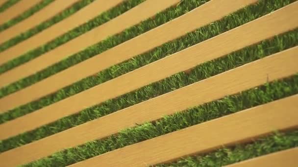 Стена из травы и деревянных панелей — стоковое видео