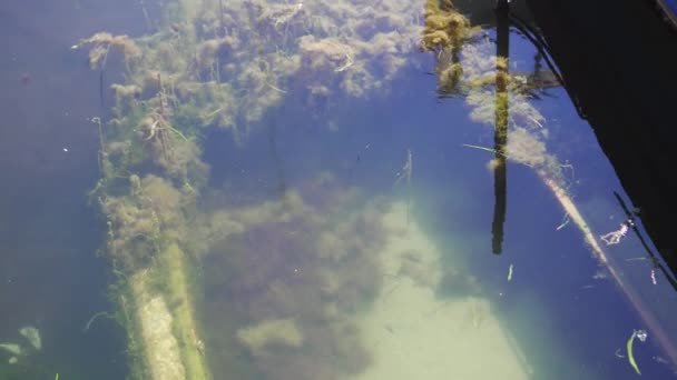 Затонувшая лодка, покрытая водорослями — стоковое видео