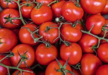 Arka plan olarak kırmızı tomografiler