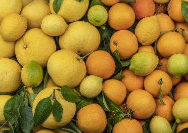 Texture of fresh whole citrus fruits lemons oranges and grapefruits as a background