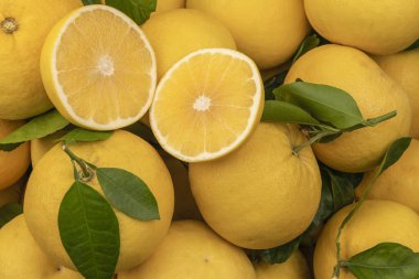 Fresh lemons and grapefruits