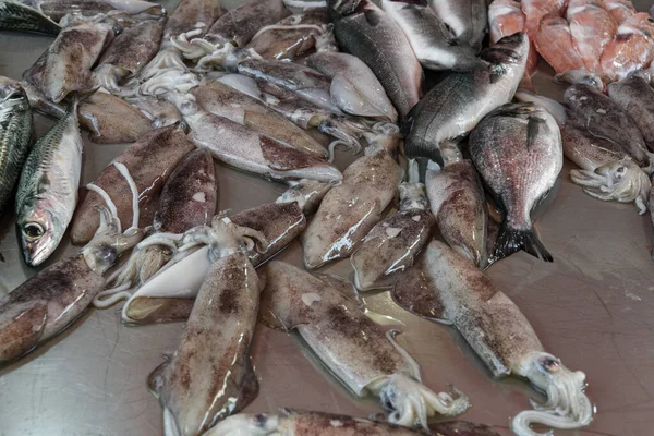 Fresh Seafood Calamari Fish Market Stall Island Ortigia Province Syracuse — Stock Photo, Image
