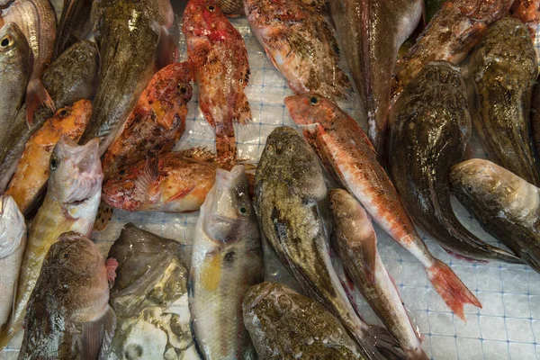 Fresh Seafood Colorful Fish Market Stall Island Ortigia Province Syracuse — Stock Photo, Image