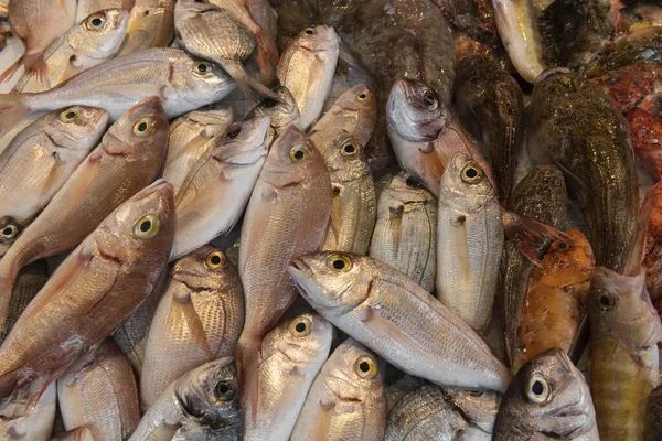 Pesce Fresco Vendita Nel Mercato Locale Dell Isola Ortigia Provincia — Foto Stock