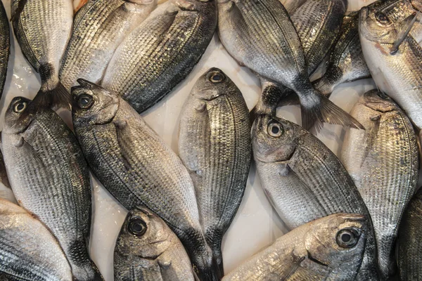 Ikan Segar Mentah Dorado Pasar Lokal Yang Terkenal Pulau Ortigia — Stok Foto