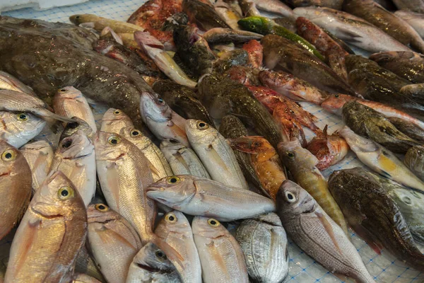 Berbagai Macam Ikan Laut Tawar Berwarna Warni Pasar Pulau Ortigia — Stok Foto