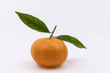 Beyaz arka planda yeşil yapraklı bir Clementine.