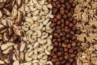 Çiğ fındık, ceviz, fındık, Brezilya fındığı, kaju