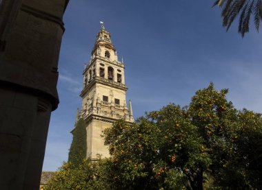 Cordoba, İspanya Endülüs ünlü iç ne de Ulu Cami