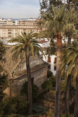 Cordoba, İspanya'nın tarihi merkezinin sayısı.