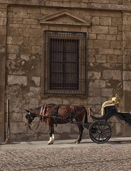 Blick auf das historische Zentrum von Cordoba, Spanien. — Stockfoto