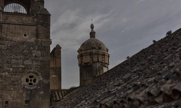 Utsikt över den historiska stadskärnan i Cordoba, Spanien. — Stockfoto