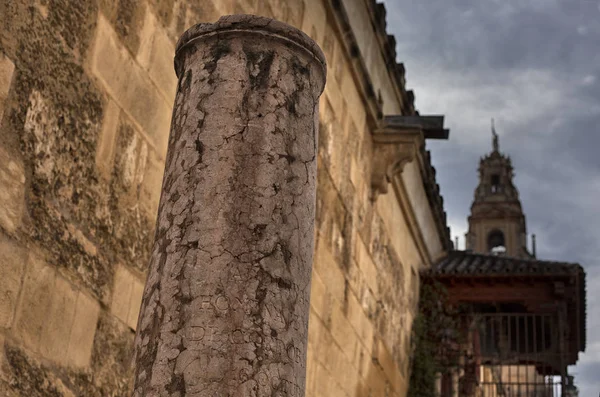 スペイン、コルドバの歴史的中心部の景色を眺める. — ストック写真