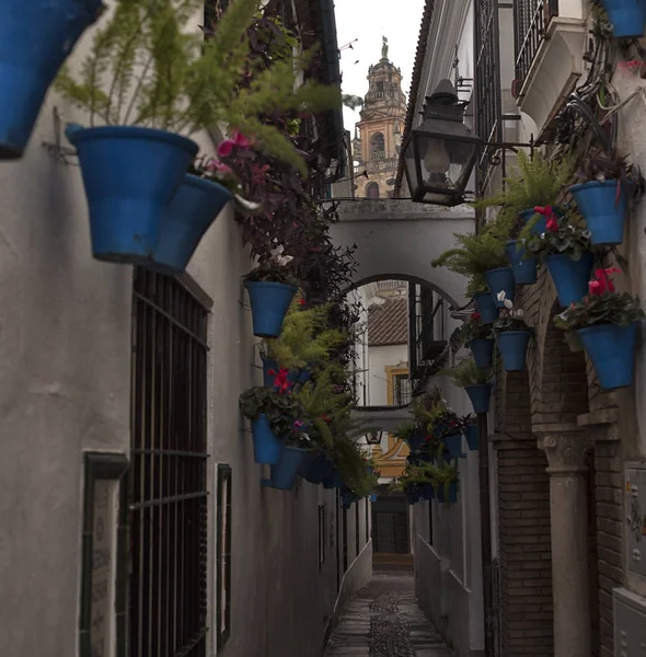 Vue sur le centre historique de Cordoue, Espagne . — Photo