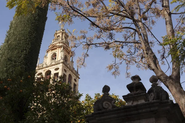 Uitzicht op het historische centrum van Cordoba, Spanje. — Stockfoto