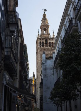 Seville, tarihi kent merkezine, tarihi binalar. İspanya.