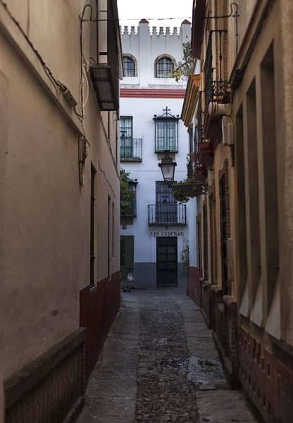 Sevilla, staré město, historické budovy. Španělsko. — Stock fotografie