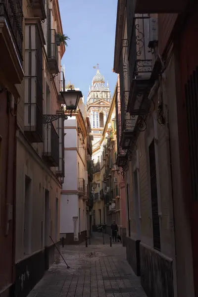 Séville, vieille ville, bâtiments historiques. Espagne . — Photo