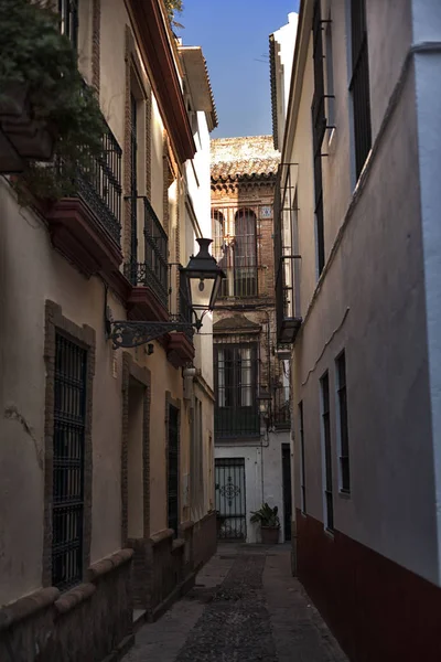 Séville, vieille ville, bâtiments historiques. Espagne . — Photo
