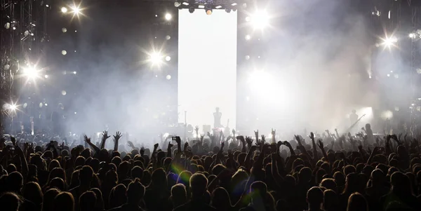 Uma multidão de pessoas num concerto . — Fotografia de Stock
