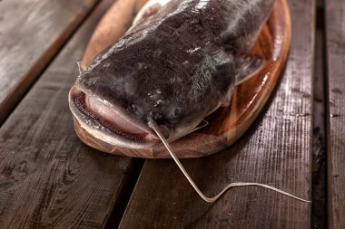 Taze balık mutfakta... Mutfak deniz ürünleri yemek.