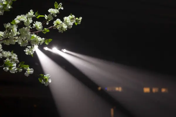 Lumière dans le théâtre — Photo