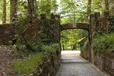 Pena Sarayı, Sintra. Portekiz güzel kale.