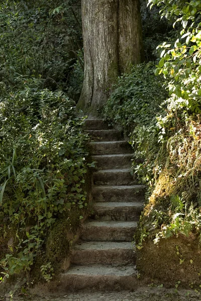 Quinta Regaleira gardens, Sintra, Portugal — 스톡 사진