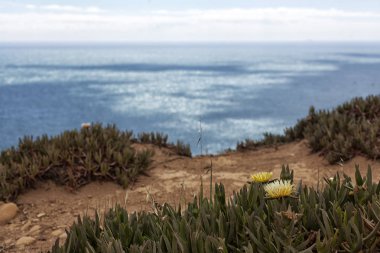 Cabo da Roca, Portekiz, güzel görünüm.