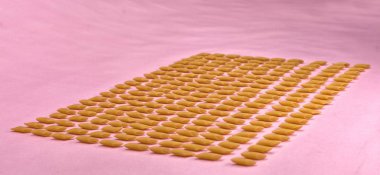 Makarna penne beyaz bir arka plan.