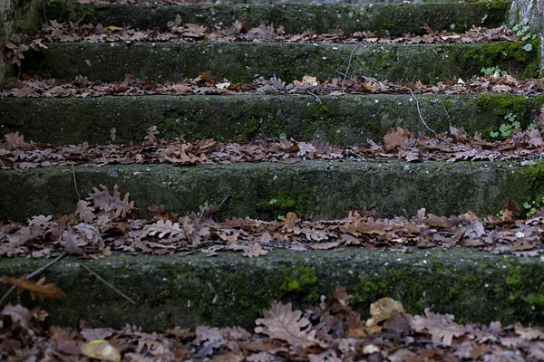 Primer plano de la escalera de piedra . —  Fotos de Stock