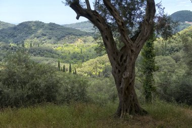 Corfu Island manzara Yunanistan.
