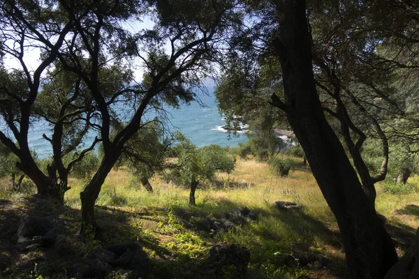 Corfu Island Landscapes Greece — Stock Photo, Image