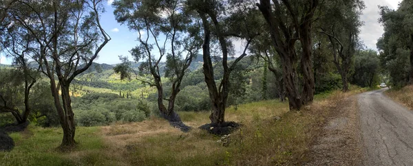 Corfu Eiland Landschappen Griekenland — Stockfoto