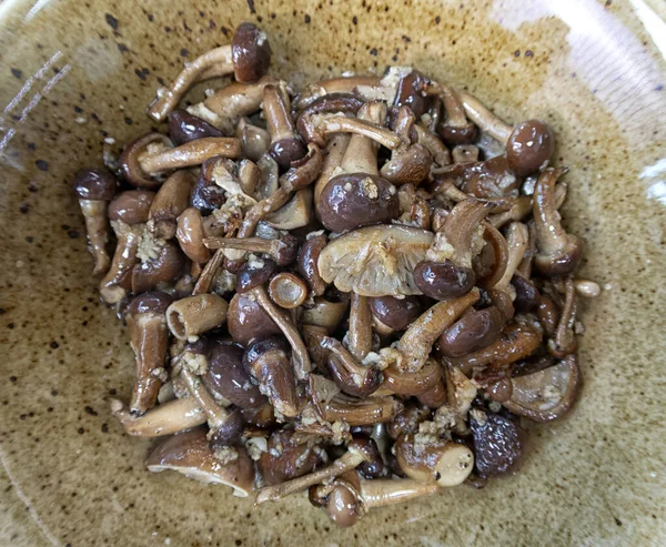 Serie Foto Lombo Agnello Forno Farcito Con Funghi Fritti Cipolle — Foto Stock