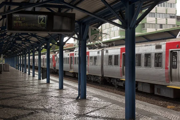 Demiryolu Taşımacılığı Seyahat Macera Için Turist Geçmişi — Stok fotoğraf
