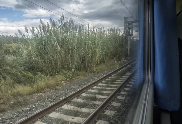 View inside the carriage of a passenger train on the railway. Railway transport.