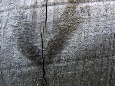 Ahşap tahtalardan oluşan soyut arkaplan.