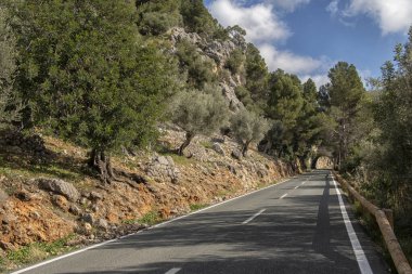 Ada manzarası, tarihi binalar, deniz manzarası Mayorka İspanya, güzel kıyı, Akdeniz, Balear Adaları.