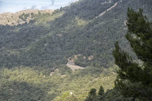 岛屿风景 历史建筑景观 西班牙马略卡岛海景 美丽的海岸 地中海 巴利阿里群岛 — 图库照片