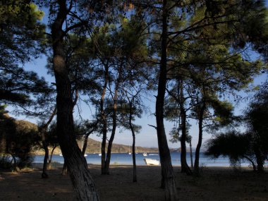 Türkiye 'de deniz manzaralı Marmaris, güzel sahil, Akdeniz