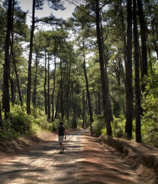 Türkiye 'de deniz manzaralı Marmaris, güzel sahil, Akdeniz