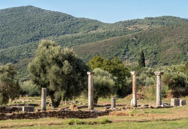Yunanistan 'ın güneyindeki Messini arkeoloji sahasının panoramik görüntüsü