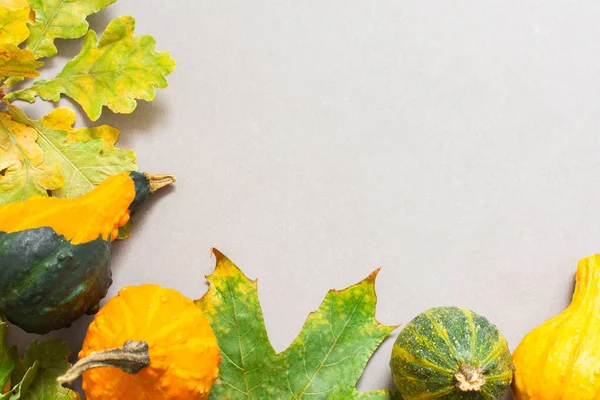 Осенний фон с тыквами — стоковое фото