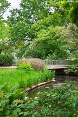 Tiergarten parkında yürü